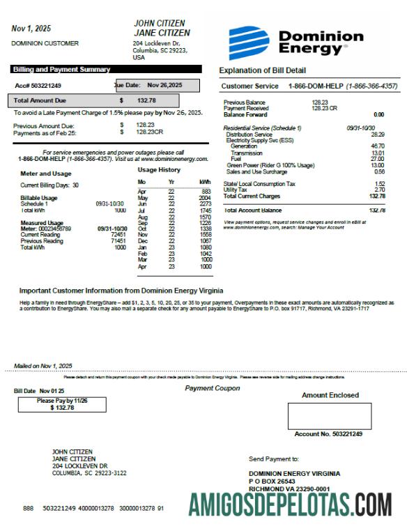 em branco Modelo de conta de serviços públicos de energia USA Dominion em formatos Word e PDF, versão 2